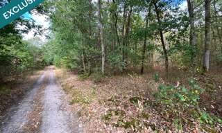 Terrain  9717 m² à vendre à Vignoux-sur-Barangeon (18500)