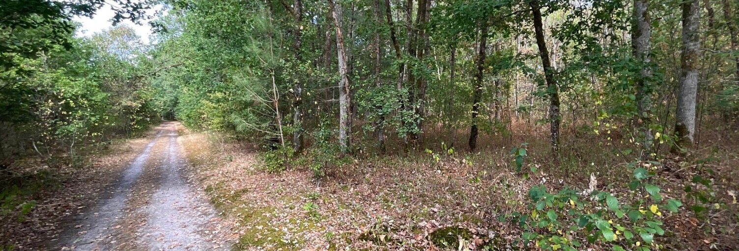 Terrain  9717 m² à vendre à Vignoux-sur-Barangeon (18500)