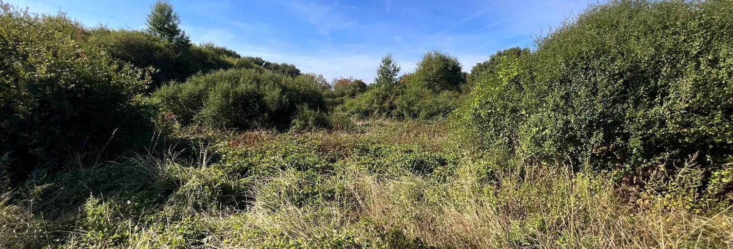 Terrain  16840 m² à vendre à Vignoux-sur-Barangeon (18500)
