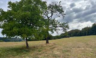 Terrain  3130 m² à vendre à Le Val-d'Ajol (88340)