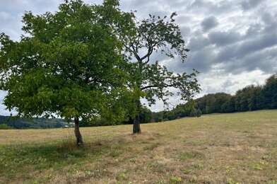 Terrain  45000 €