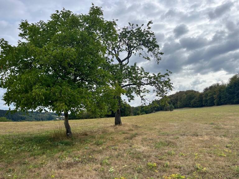 Terrain constructible au calme avec vue dégagée — photo 1