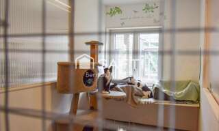 Maison 5 Pièces 212 m² à vendre à Champagne-Mouton (16350)