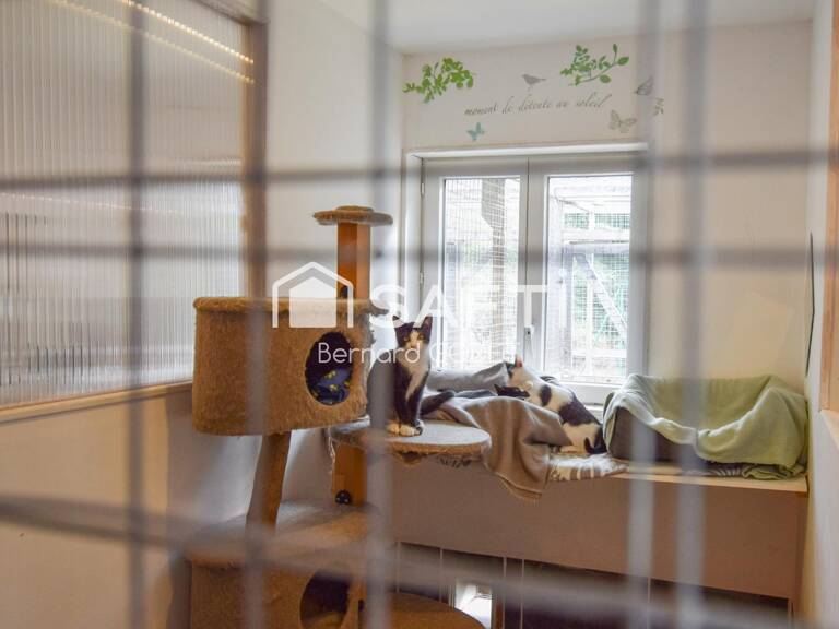 PENSION FÉLINE HAUT DE GAMME + MAISON D'HABITATION — photo 1