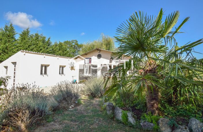 PENSION FÉLINE HAUT DE GAMME + MAISON D'HABITATION — photo 3