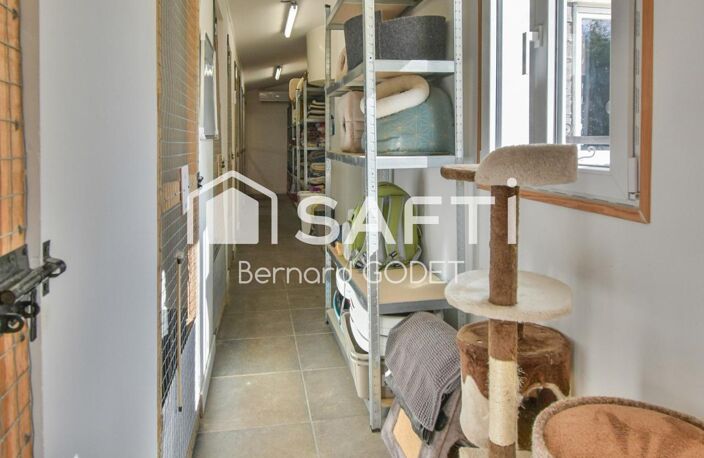 PENSION FÉLINE HAUT DE GAMME + MAISON D'HABITATION — photo 4