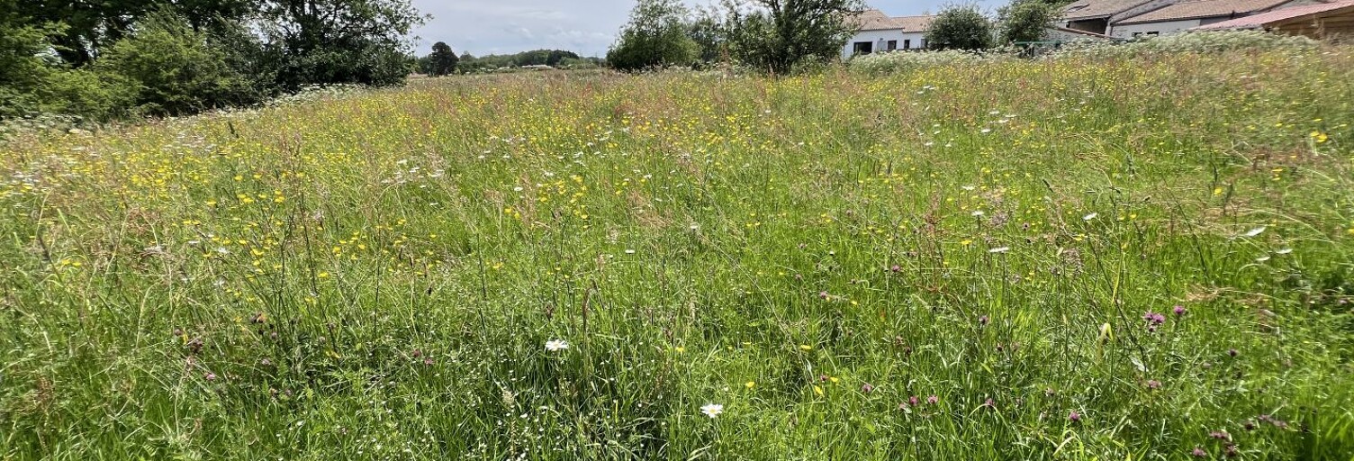 Terrain  4000 m² à vendre à Vertou (44120)