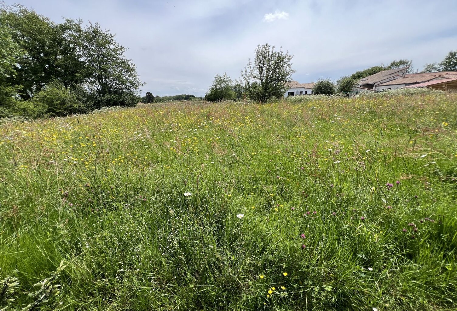 Terrain — photo 1