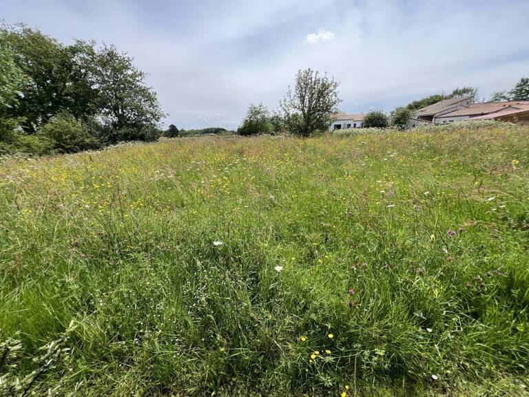 Terrain — photo 1