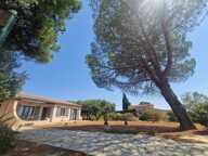 Pavillon — photo 2
