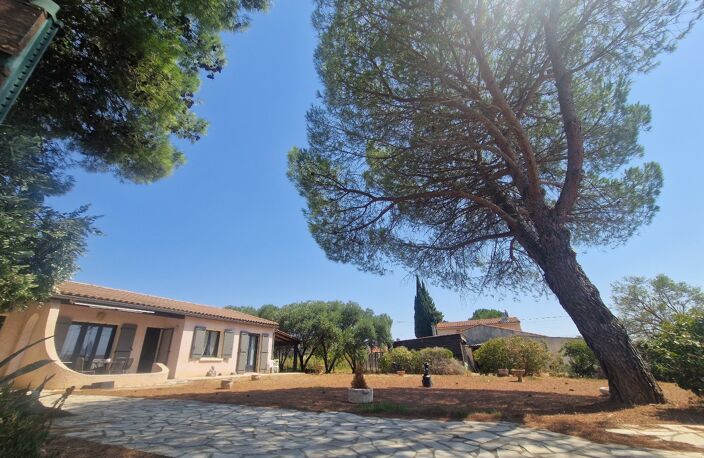 Pavillon — photo 2