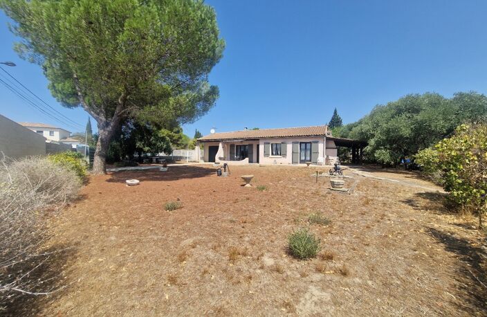Pavillon — photo 3