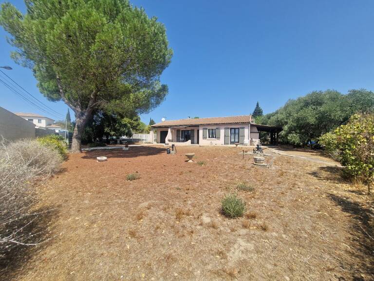 Pavillon — photo 1
