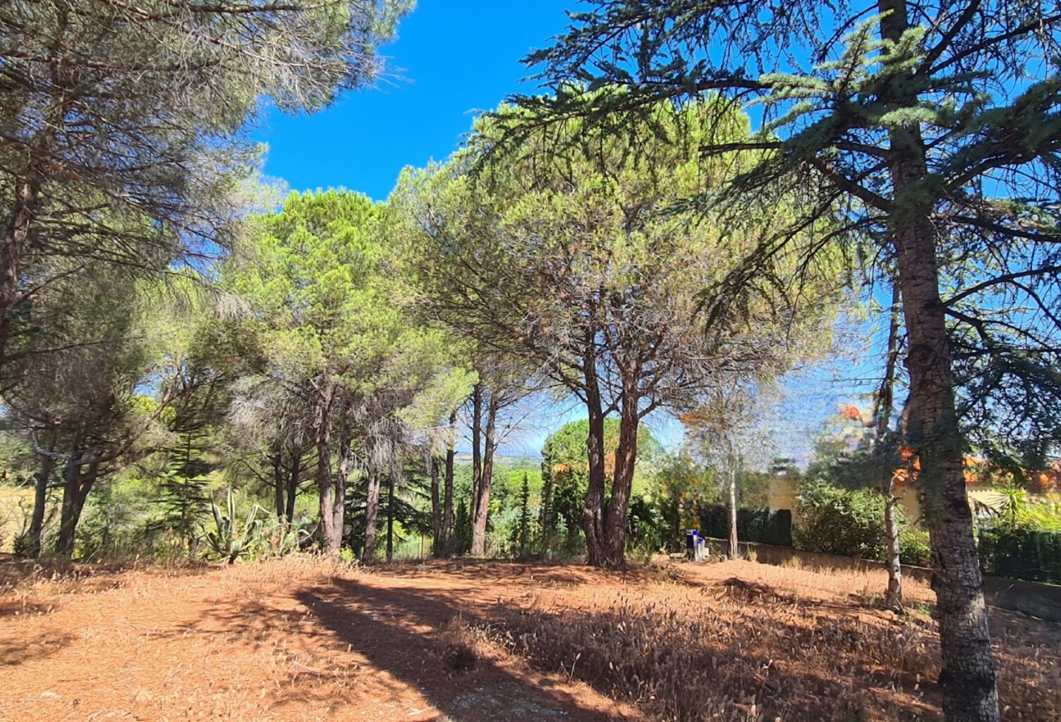 Vente Terrain 1 430 m&sup2; — photo 1