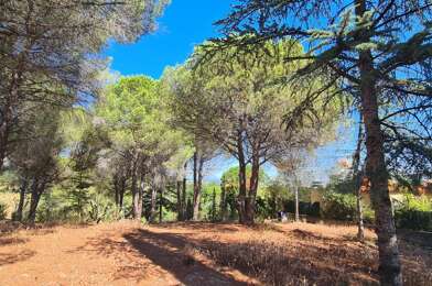 Terrain  155000 €