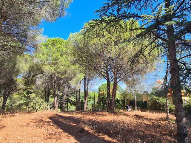 Vente Terrain 1 430 m&sup2; — photo du bien