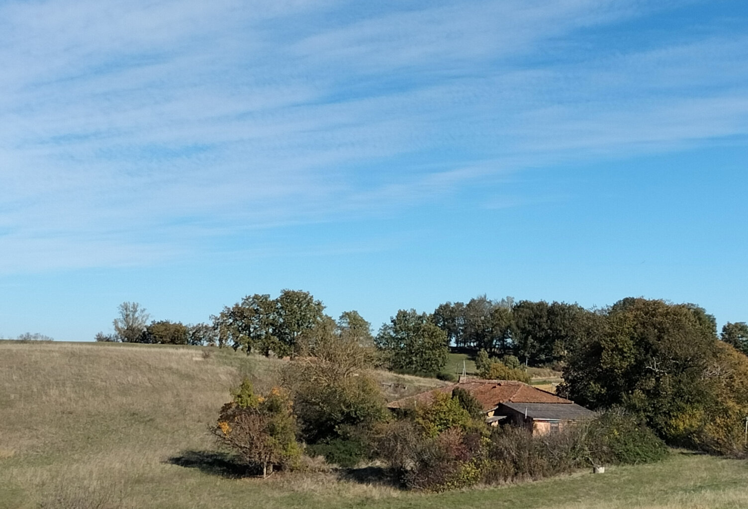 Fermette avec 13.8 ha prairie en bio plusieurs dépendances — photo 1