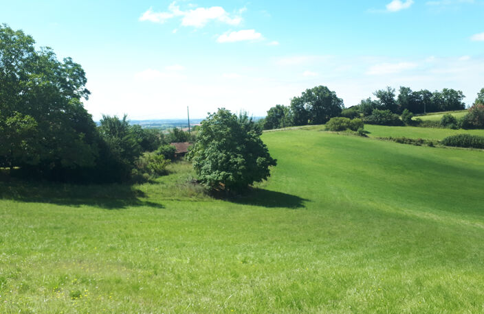 Fermette avec 13.8 ha prairie en bio plusieurs dépendances — photo 5