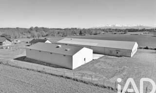 Commerce  1234 m² à vendre à Luquet (65320)