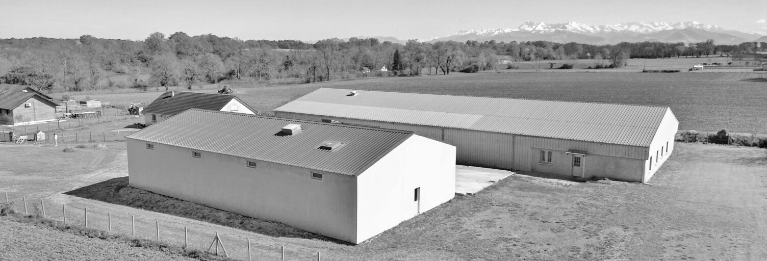 Commerce  1234 m² à vendre à Luquet (65320)