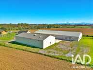 Vente Boutique/Local commercial 1 234 m&sup2; — photo 3