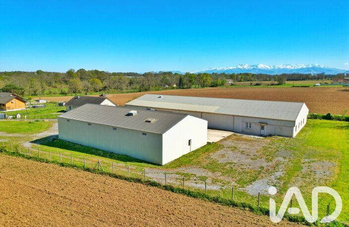 Vente Boutique/Local commercial 1 234 m&sup2; — photo 3