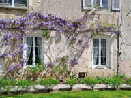 Propriété à Vermenton — photo 3