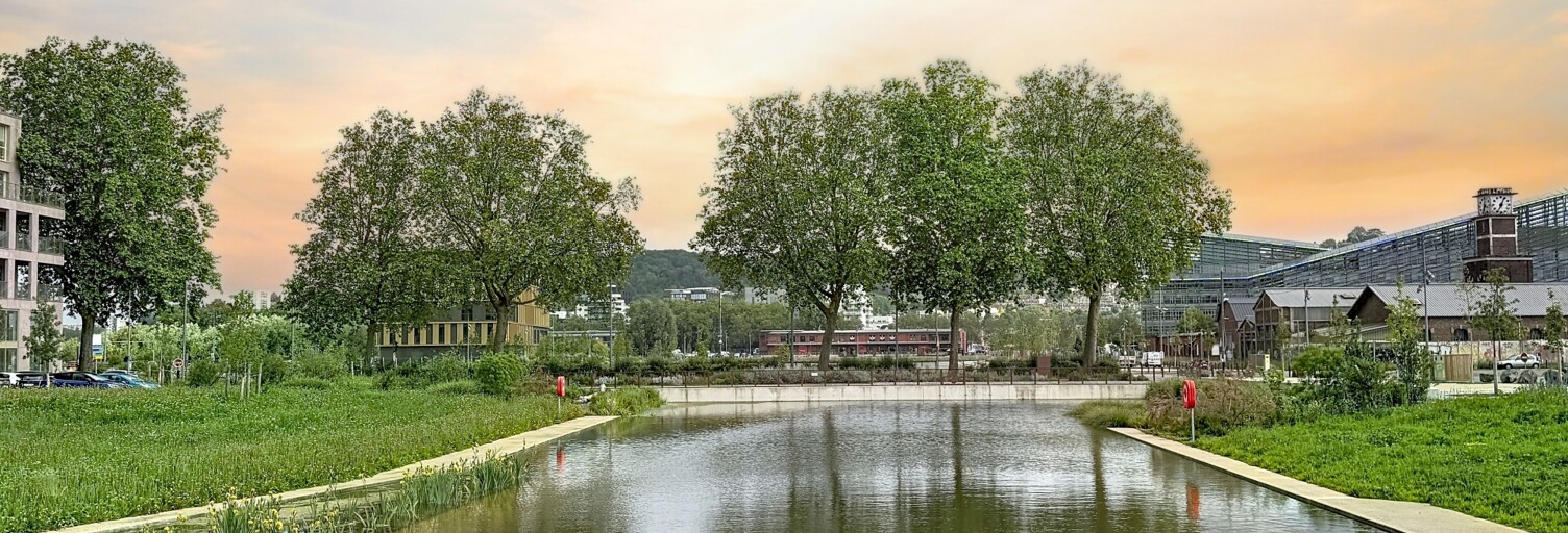 Photo N° 2