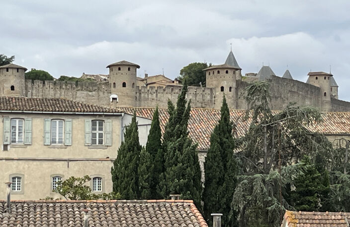 IMMEUBLE DE RAPPORT - PROCHE CITE MEDIEVALE — photo 5
