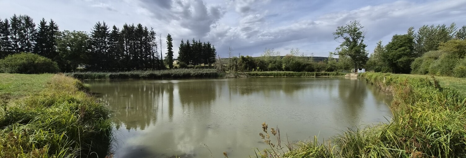 Terrain  8000 m² à vendre à Gremilly (55150)