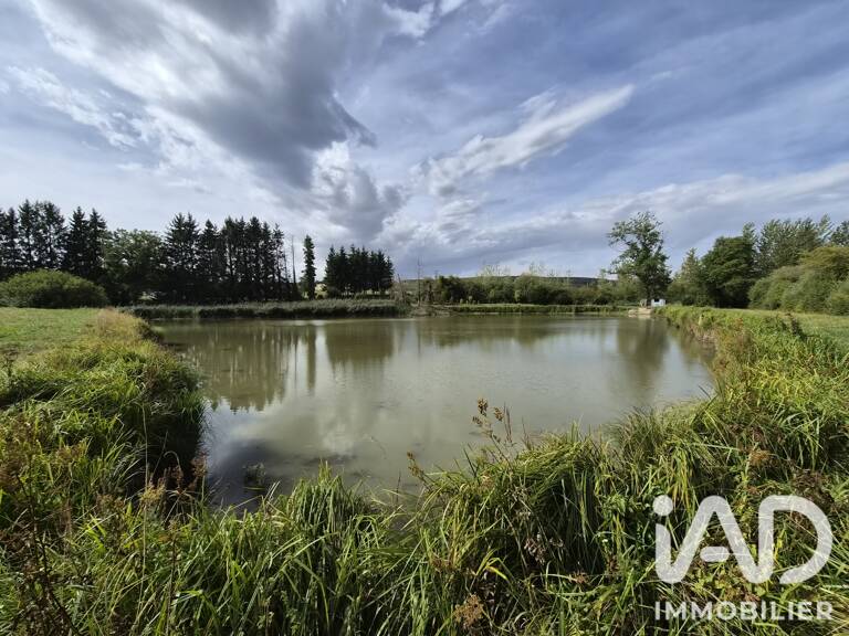 Vente Terrain 8 000 m&sup2; — photo 1