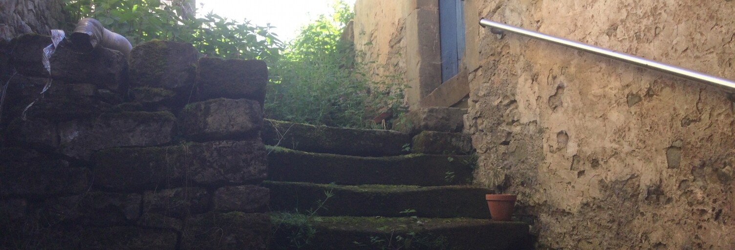 Photo N° 2