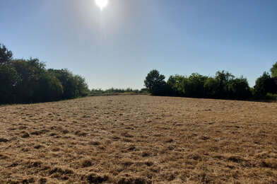 Terrain  33000 €