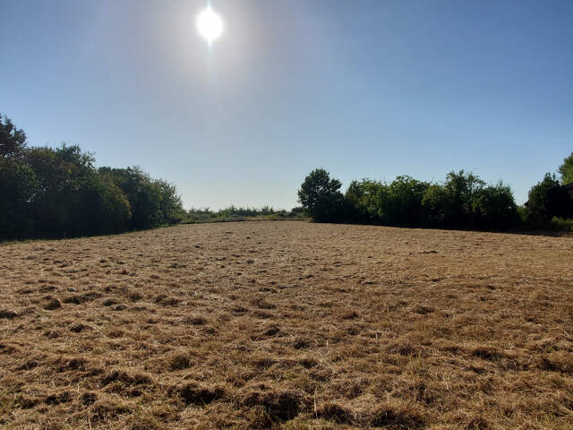 Terrain à bâtir à vendre. — photo du bien
