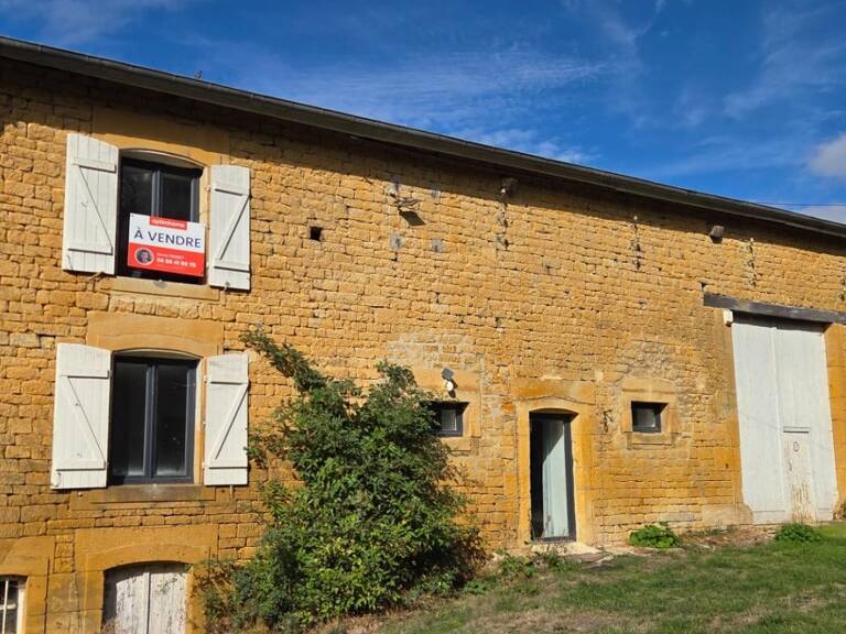  MAISON FAMILIALE en PIERRE DE 196 M² - PETIT FAILLY– 4 CHAMBRES  – PIÈCE DE VIE DE 73 M² – PRÈS DE 1 600 M² DE FONCIER – GRANGE - PROCHE BELGIQUE ET LUXEMBOURG — photo 1