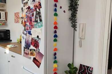 Appartement 3 pièces 989 €