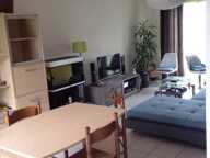 Maison de 80m2 à louer sur Orléans — photo 4