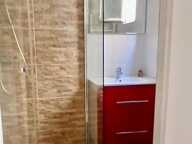 Appartement de 44m2 à louer sur Lyon 09 — photo 4
