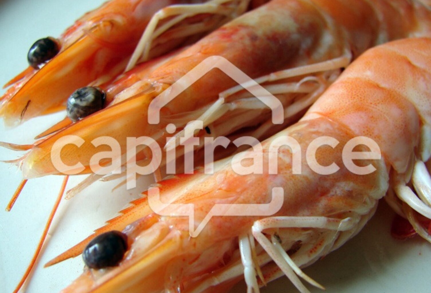 Dpt Charente Maritime (17), à vendre  Poissonnerie — photo 1