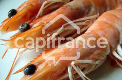 Dpt Charente Maritime (17), à vendre  Poissonnerie — photo du bien