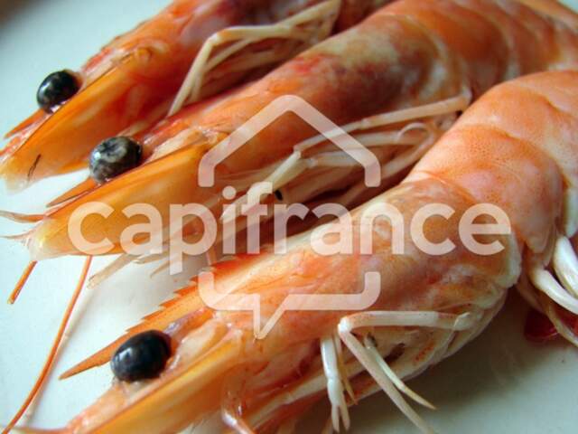Dpt Charente Maritime (17), à vendre  Poissonnerie — photo du bien