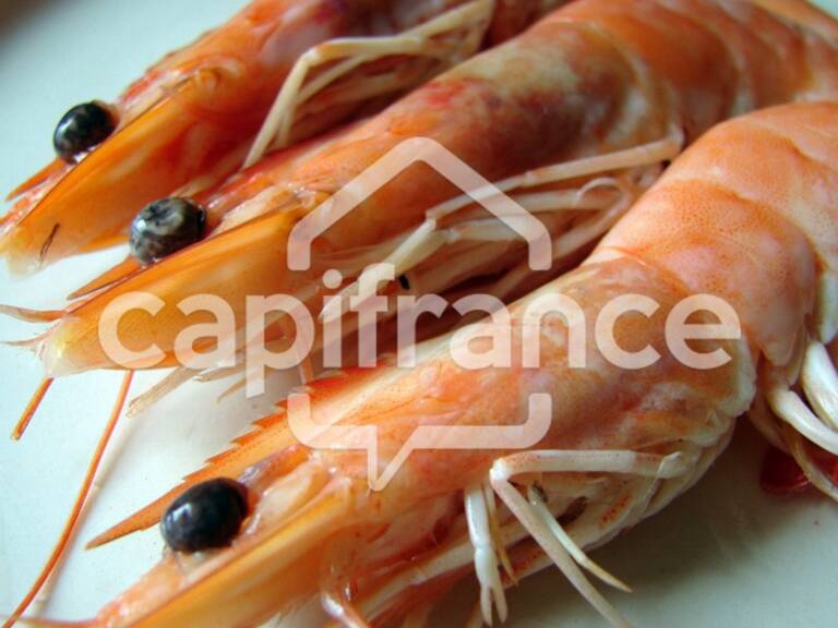 Dpt Charente Maritime (17), à vendre  Poissonnerie — photo 1