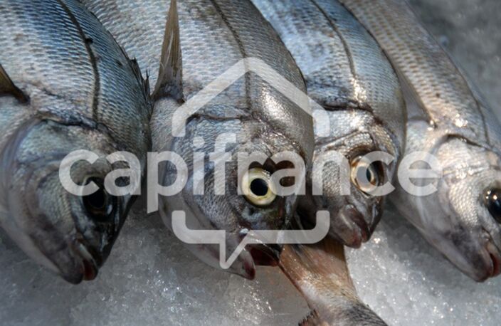Dpt Charente Maritime (17), à vendre  Poissonnerie — photo 3