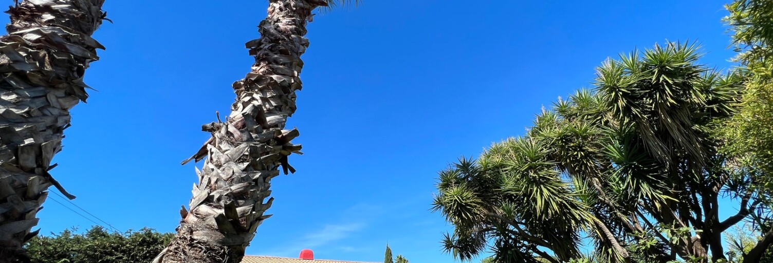 Maison 5 Pièces 103 m² à vendre à Hyères (83400)