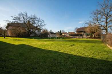 Terrain  260000 €