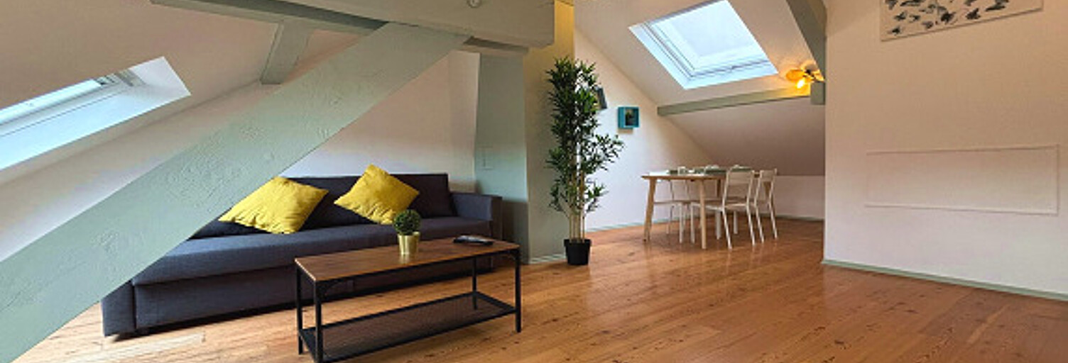 Appartement 3 Pièces 61 m² à louer à Mulhouse (68100)