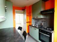 Appartement Caluire Et Cuire 4 pièce(s) — photo 4