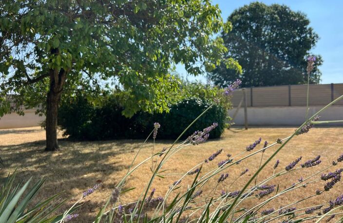 🍇 Longère de charme entièrement rénovée : Jardin gourmand, dépendance XXL et aucun travaux à prévoir ! ✨ — photo 5
