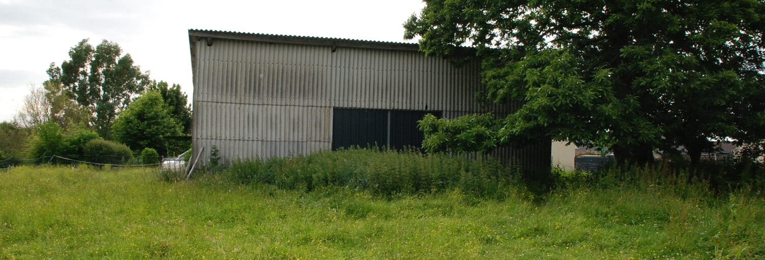Photo N° 2