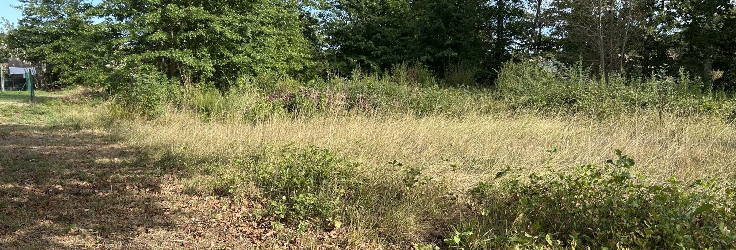 Terrain  2601 m² à vendre à Saint-Seurin-sur-l'Isle (33660)
